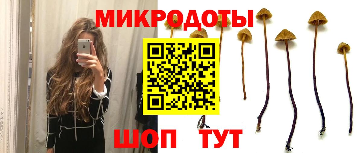 Галлюциногенные грибы GOLDEN TEACHER Советская Гавань