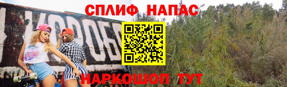 Канабис White Widow  Марихуана Bruce Banner  Советская Гавань  Вход с VPN  Каннабис сатива 